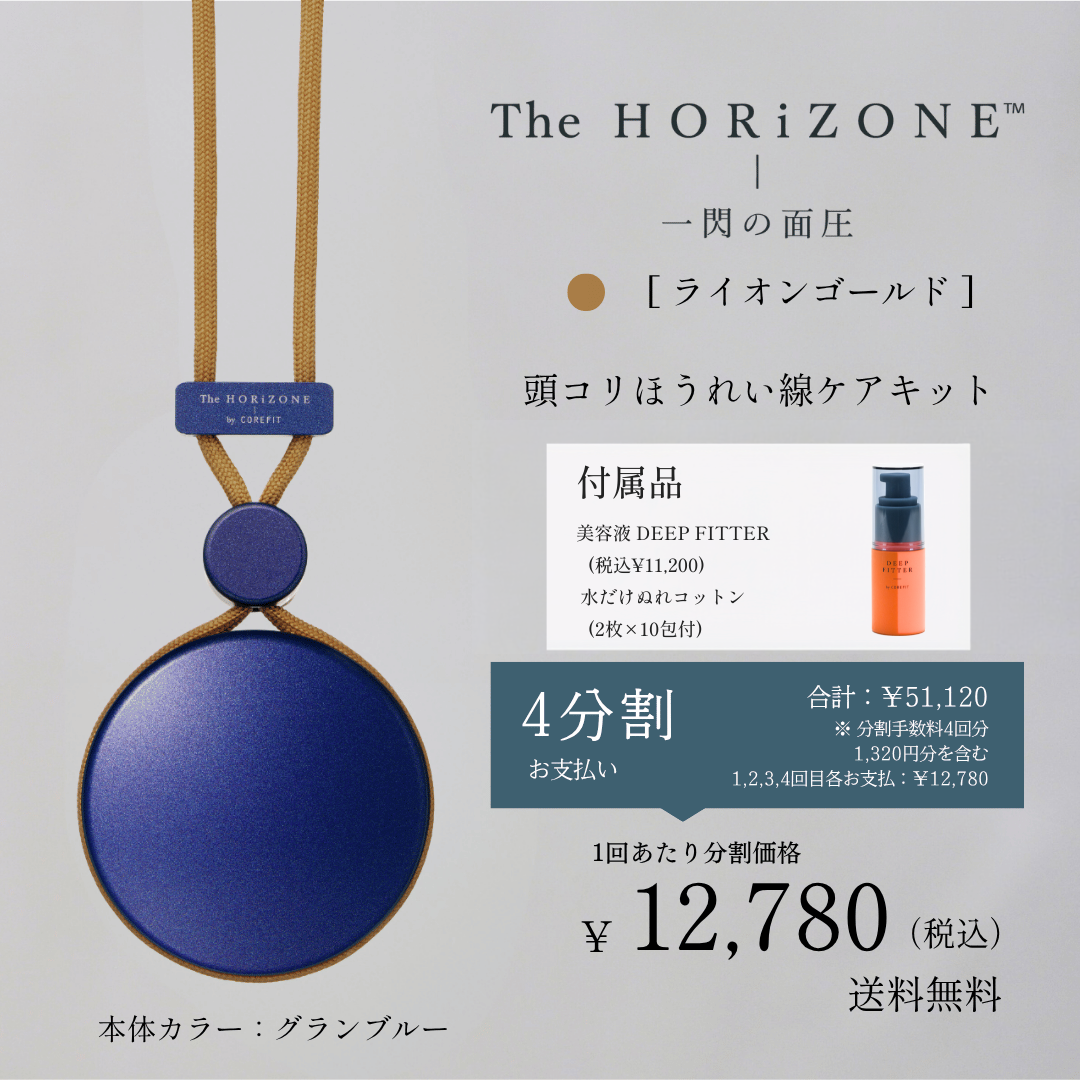＜4ヶ月払コース＞The HORiZONE（グリップコード：ライオンゴールド）2606