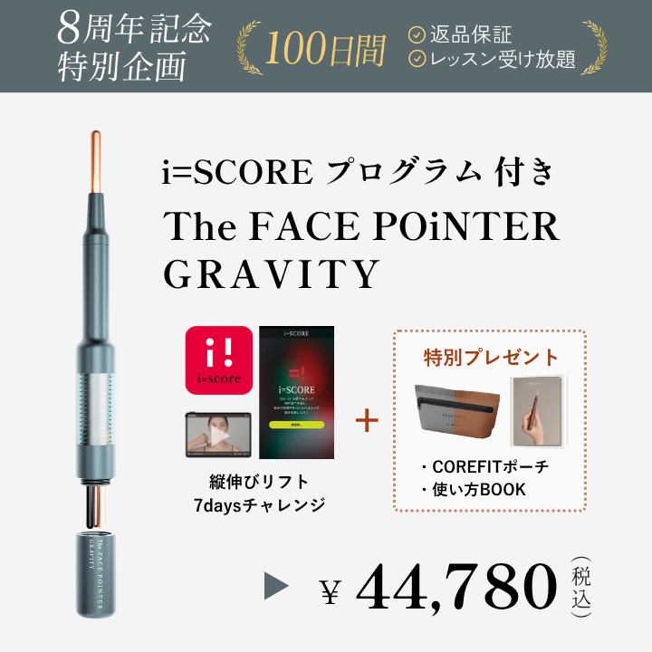 【8周年】TheFACE POiNTER GRAVITY ポーチBOOK・iSCORE_2608CA
